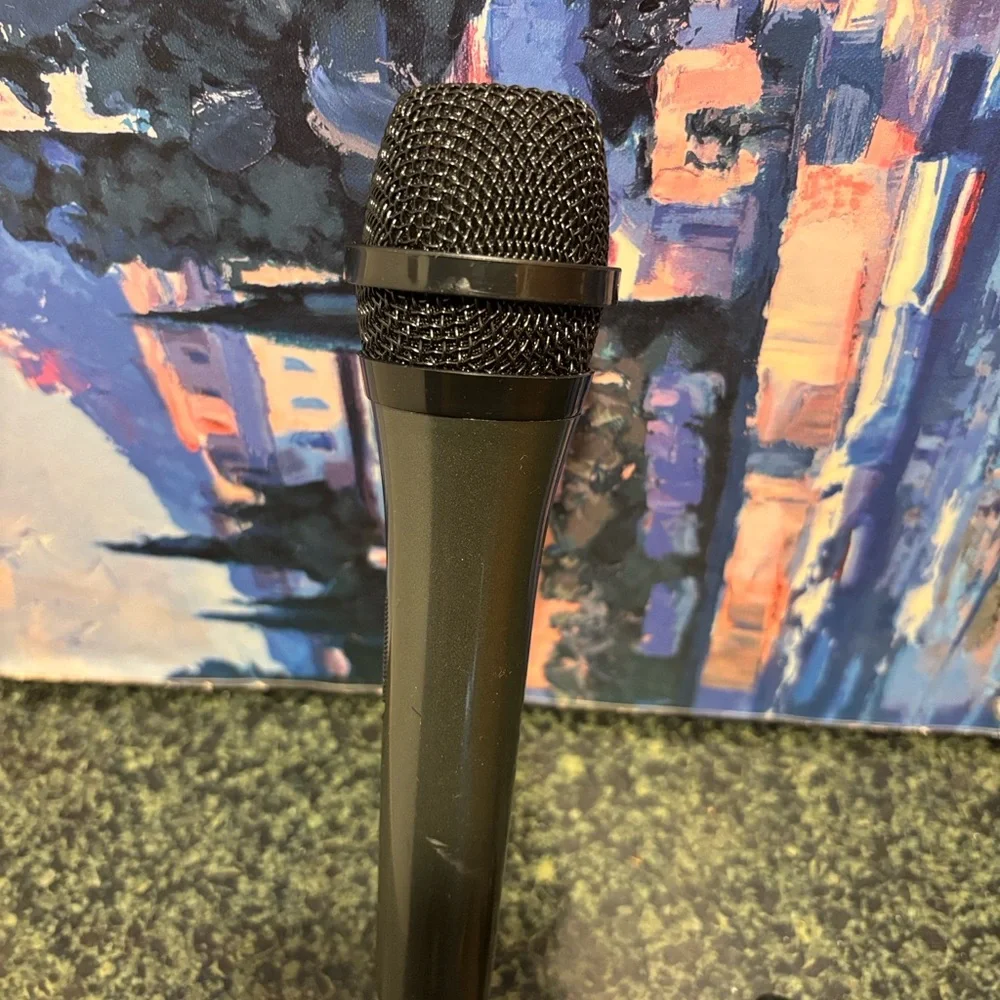 Wired Black Vocal Microphone with Cable